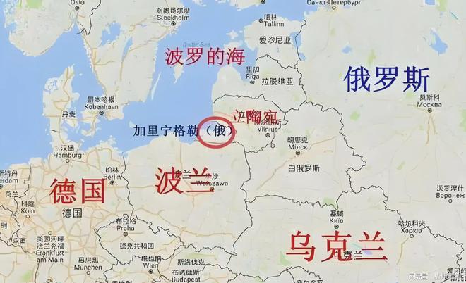 包含双方实力对比，战火蔓延极速升温的词条